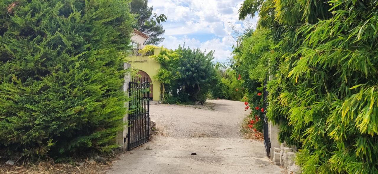 Bambou Entre Mer Et Montagnes Chateauneuf-Grasse Luaran gambar